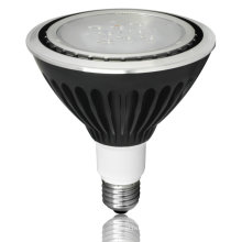 RGB LED Landscape PAR38 Spotlight com IP67